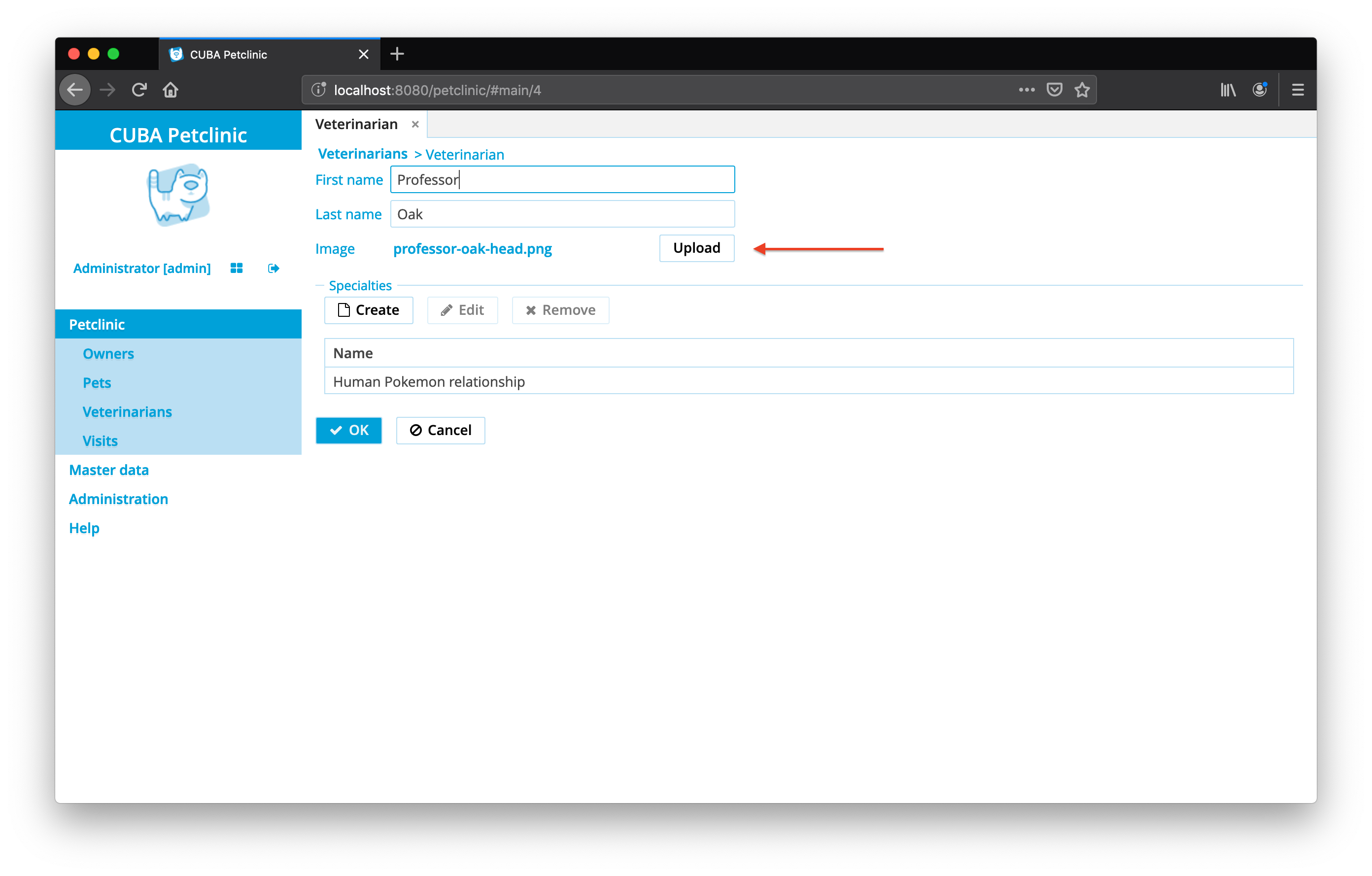 vet entity file descriptor reference ui